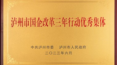 瀘州市國(guó)企改革三年行動(dòng)優(yōu)秀集體